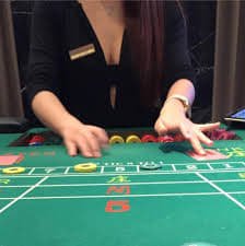 10bets hướng dẫn chơi Bingo